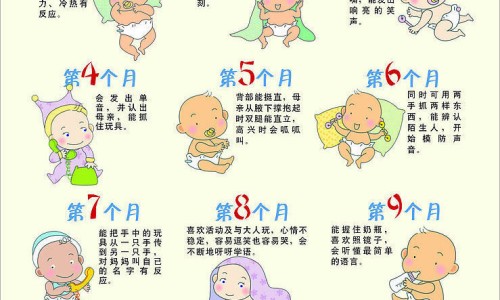 婴儿补血的食物有哪些